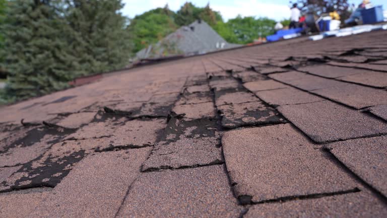 Best Storm Damage Roof Repair  in Pierce, CO