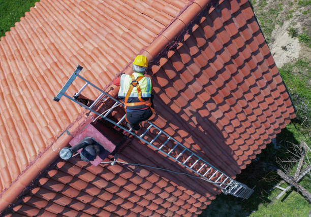 Best Roof Leak Repair  in Pierce, CO